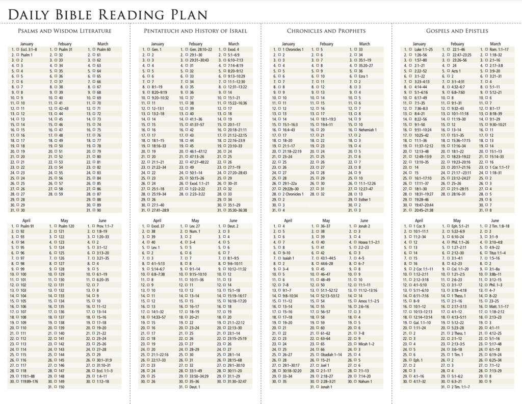 365 Day Bible Reading Plan Pdf Free 2024 Jaine Lilllie